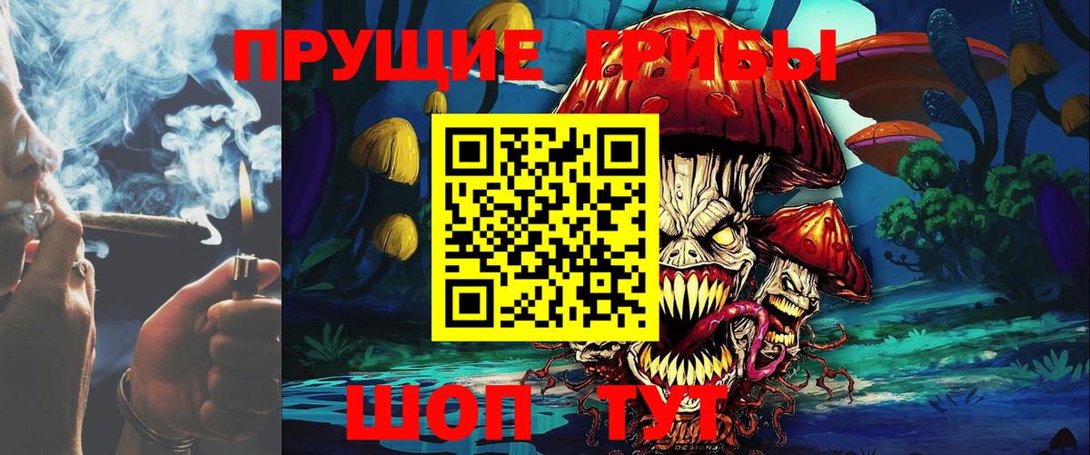 Псилоцибиновые грибы MAGIC MUSHROOMS Елизово