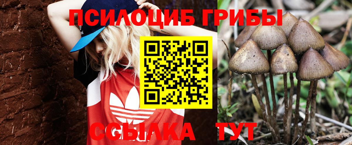 Елизово  Галлюциногенные грибы прущие грибы  Вход с VPN 